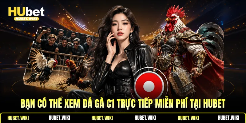 Trực Tiếp Đá Gà C1 - Chất Lượng Cao, Miễn Phí Tại Hubet Bạn có thể xem đá gà C1 trực tiếp miễn phí tại Hubet