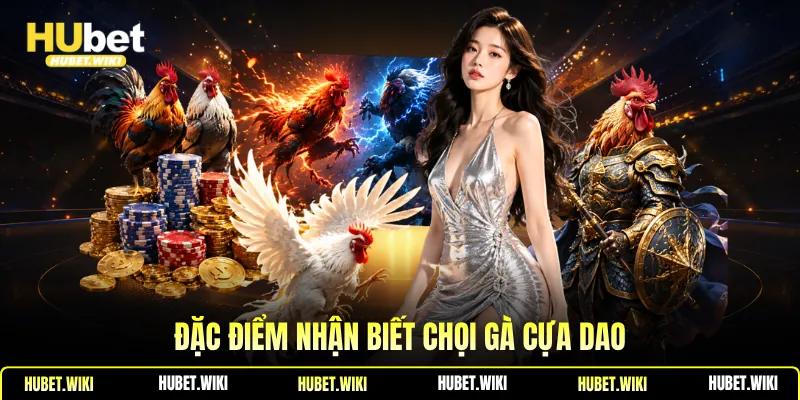 Đá Gà Cựa Dao -Đặc Điểm Nhận Biết, Kinh Nghiệm Chọn Gà Đặc điểm nhận biết chọi gà cựa dao