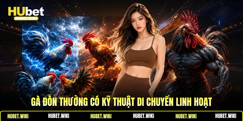 Đá Gà Đòn -Khái Niệm, Điểm Nổi Bật, Bí Quyết Chọn Chiến Kê Gà đòn thường có kỹ thuật di chuyển linh hoạt