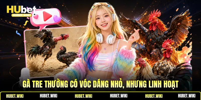 Đá Gà Tre Xóm Làng - Nét Đẹp Văn Hóa Việt, Cách Nhận Biết Gà tre thường có vóc dáng nhỏ, nhưng linh hoạt
