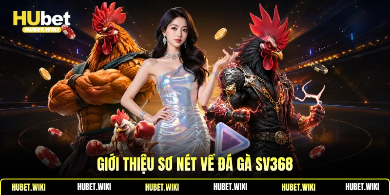 Đá Gà SV368 - Điểm Giải Trí Miễn Phí, Chất Lượng Cao 2026 Giới thiệu sơ nét về đá gà SV368