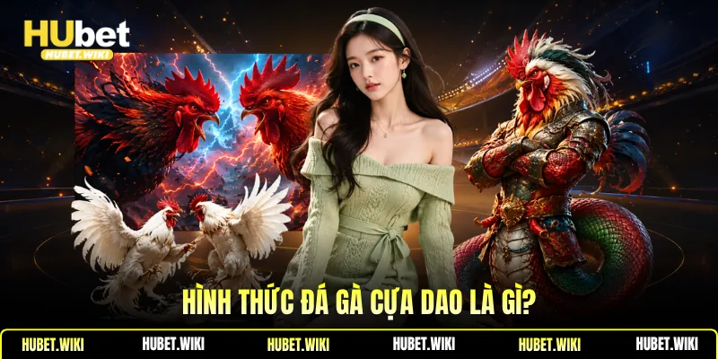 Đá Gà Cựa Dao -Đặc Điểm Nhận Biết, Kinh Nghiệm Chọn Gà Hình thức đá gà cựa dao là gì?
