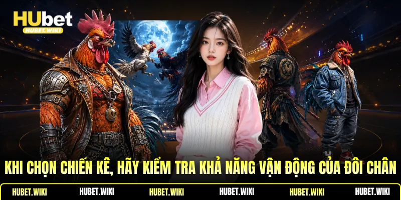 Đá Gà Đòn -Khái Niệm, Điểm Nổi Bật, Bí Quyết Chọn Chiến Kê Khi chọn chiến kê, hãy kiểm tra khả năng vận động của đôi chân