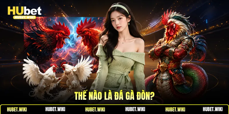 Đá Gà Đòn -Khái Niệm, Điểm Nổi Bật, Bí Quyết Chọn Chiến Kê Thế nào là đá gà đòn?