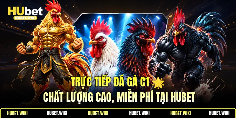 Trực Tiếp Đá Gà C1 🌟 Chất Lượng Cao, Miễn Phí Tại Hubet